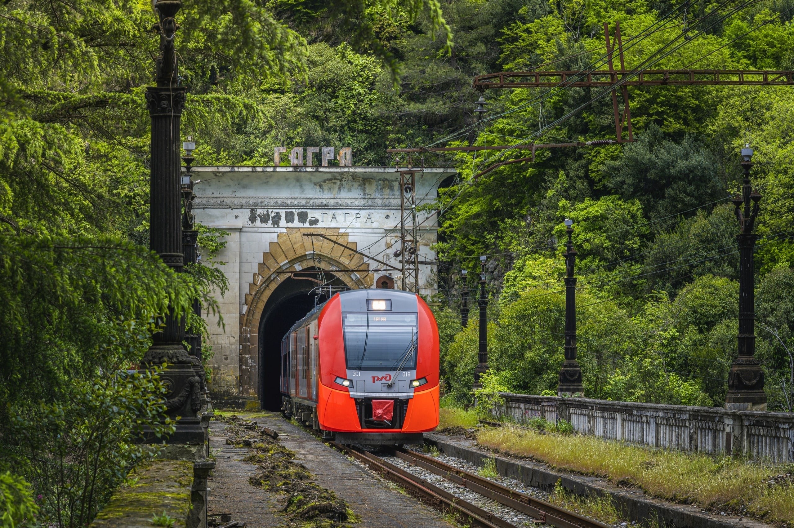 Москва гагры поезд цена 2024